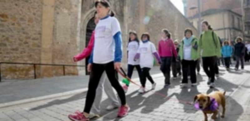 También pudo verse alguna mascota recorriendo la ciudad con sus dueños en la jornada de ayer. / Kamarero