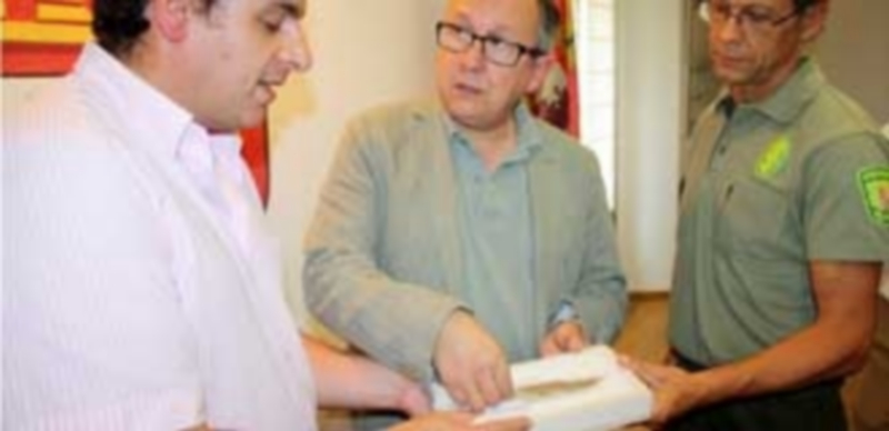 El delegado territorial