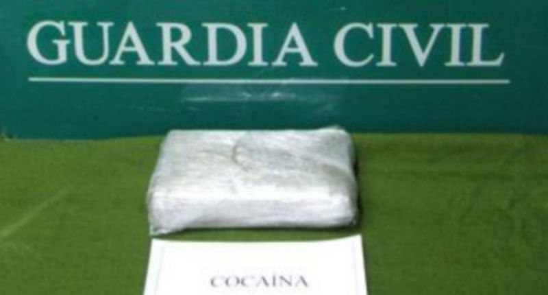 El paquete que contenía la droga y que ha sido incautado. / El ADelantado