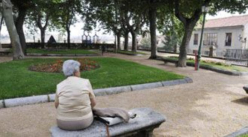 El jardín de Carlos Martín Crespo y Luis García Marcos es uno de los espacios incluidos en el proyecto. / Juan Martín