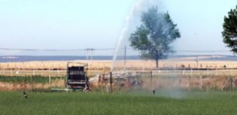 Una línea de ayuda es para las inversiones en obras de regadío y equipo de riego