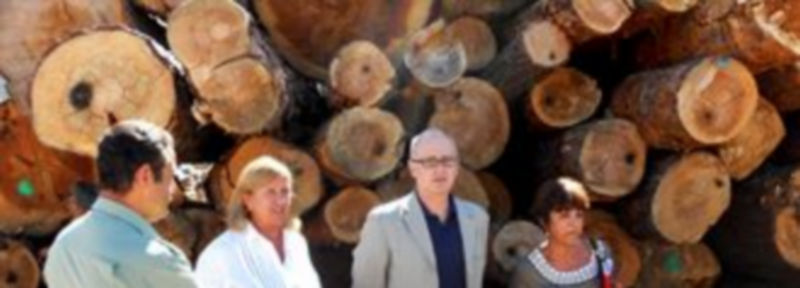 Los representantes de las diferentes administraciones