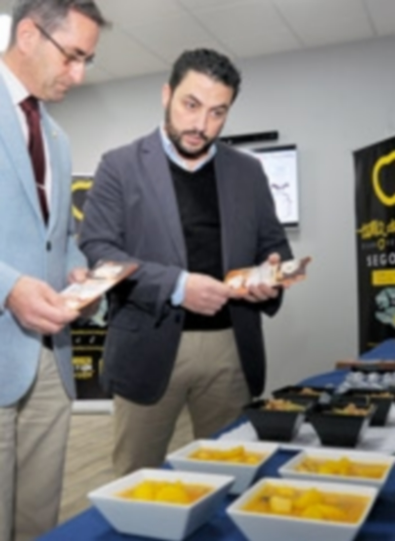 El diputado de Promoción Económica