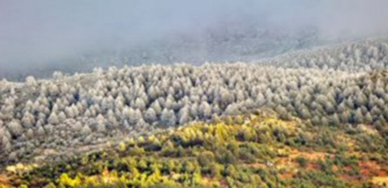 El camino natural que se proyecta recorrería toda la falda de la Sierra de Guadarrama.  / Kamarero