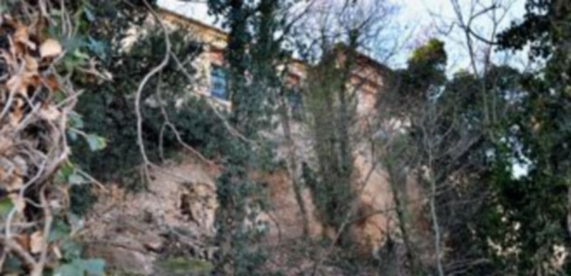 La zona junto a La Misericordia presenta un difícil acceso por la orografía escarpada y la abundante vegetación. /kamarero