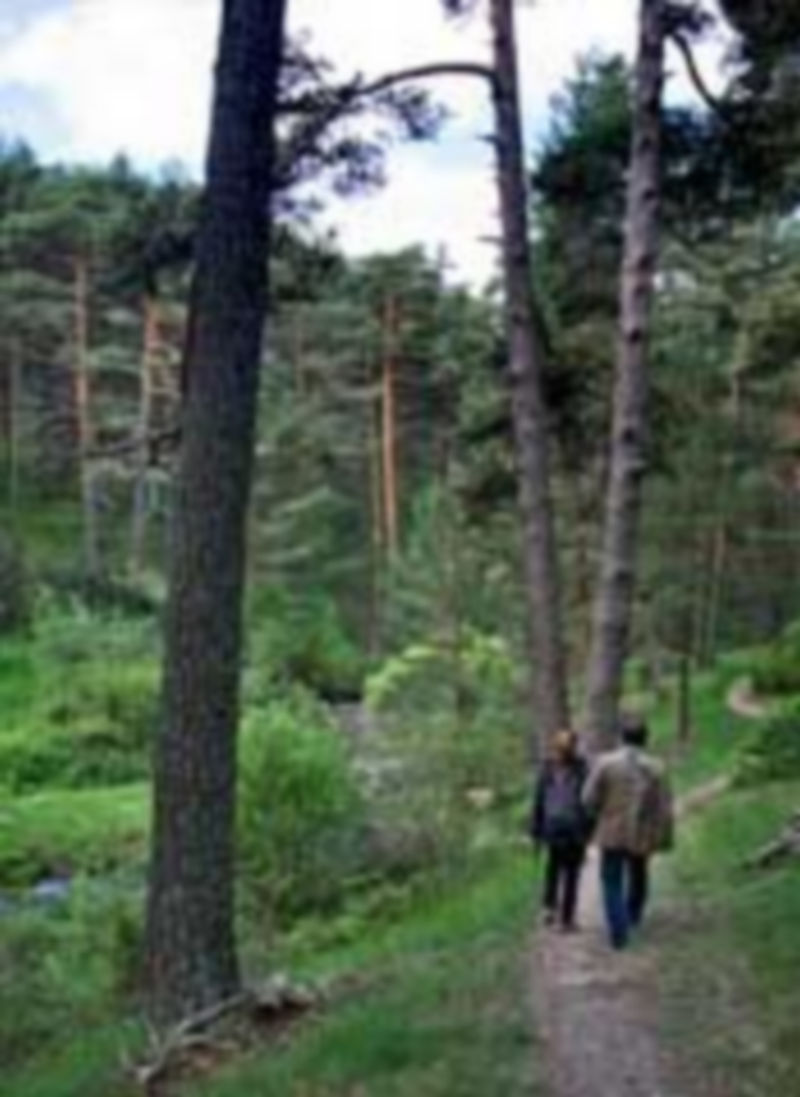 El Gobierno rechazó ayer las dos enmiendas a la totalidad presentadas. / Kamarero