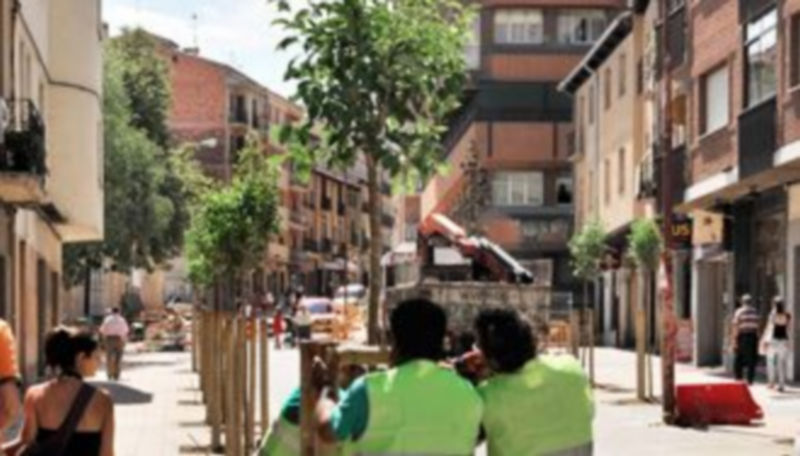 Los operarios procedieron a la plantación de los árboles en la calle Puente de Muerte y Vida la semana pasada. / Kamarero