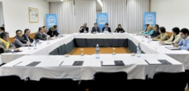 Un momento de la reunión del Comité de Dirección del PP segoviano con responsables regionales del partido. / Kamarero