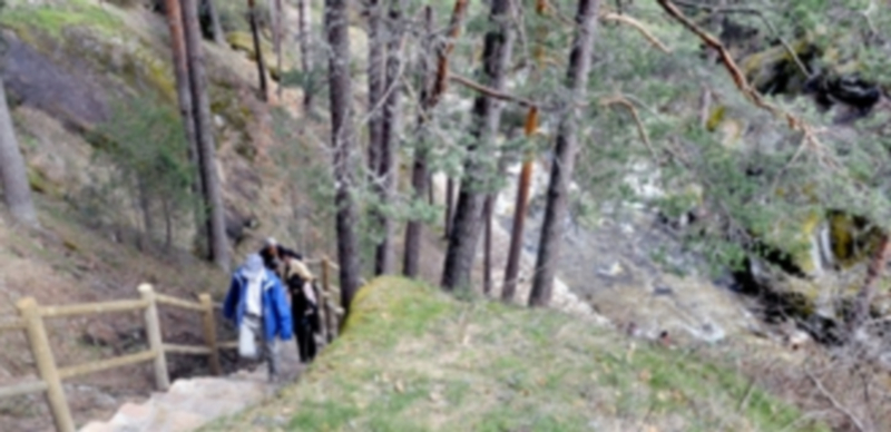 La nueva Reserva de la Biosfera está compuesta por parte de la Sierra del Guadarrama y los Montes de Valsaín. / Kamarero