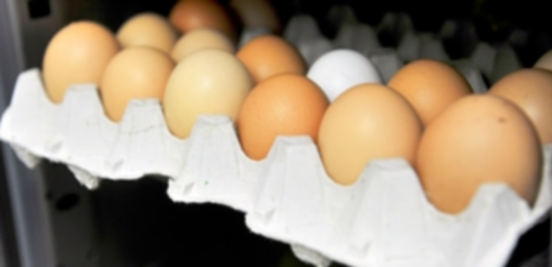 El precio de los huevos para el consumo registró el año pasado un descenso superior al cinco por ciento. / Kamarero