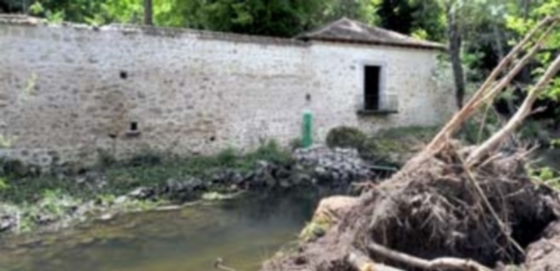 Lugar en el que se encontraba el chopo derribado y retirado ayer