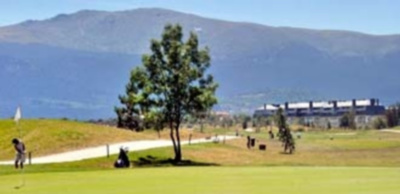 Bankia ostenta el 14