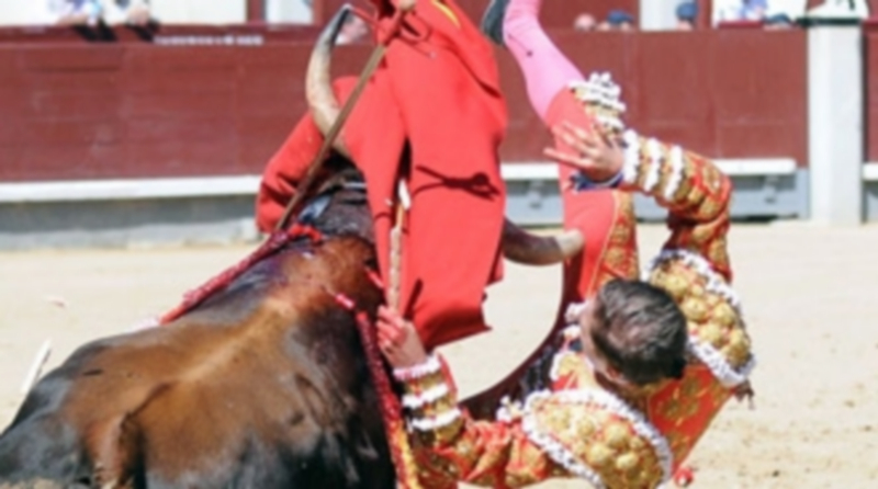 Un momento de la cogida que sufrió el novillero espinariego./ MUNDOTORO