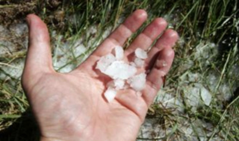 Un hombre muestra en su mano granizo caído durante un pedrisco veraniego en la comarca de Cuéllar