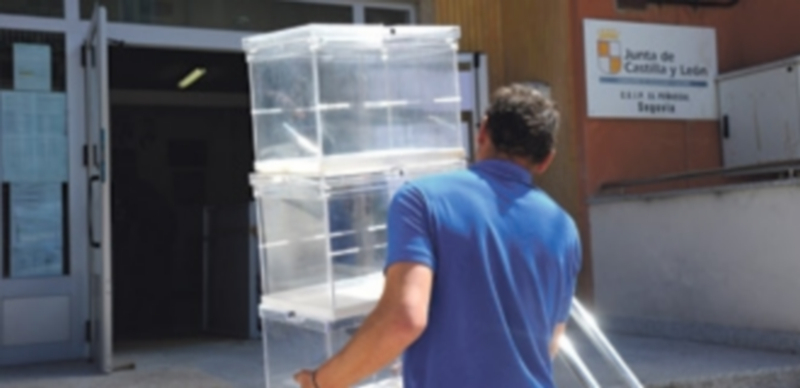 Los preparativos del sispositivo electoral continúan a buen ritmo en todos los colegios. / El Adelantado