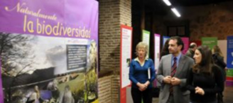 El alcalde Pedro Arahuetes y la concejala Paloma Maroto visitaron ayer la exposición de La Alhóndiga. / Juan Martín