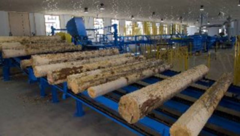 El Aserradero de Valsaín lleva unos meses parado. / Kamarero