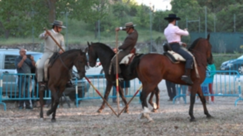 Exhibición ecuestre del año pasado