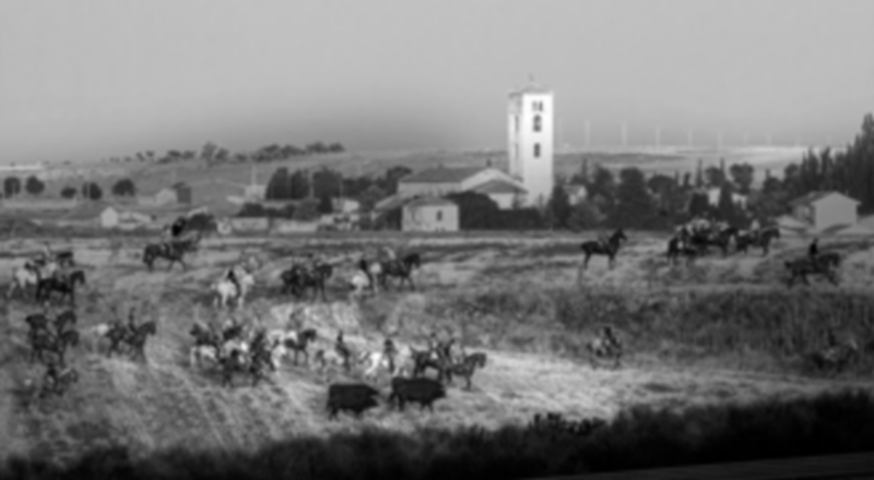 Fotografía ganadora en la pasada edición de 2015