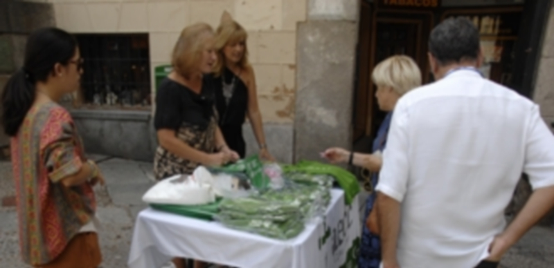 / Foto: El Adelantado