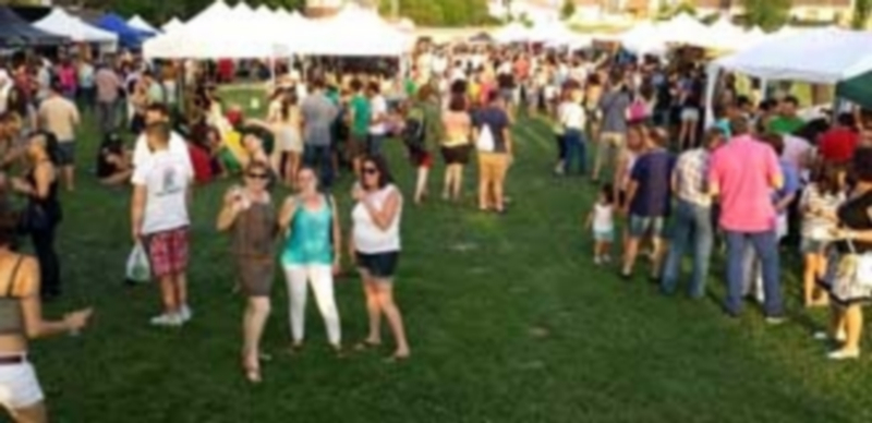 Cervezas artesanales y segovianas 1 La Feria de Cerveza Artesana de Sebúlcor es un referente para el mundo de la cerveza artesanal en la provincia de Segovia