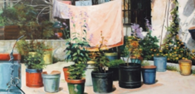 J. María Manzano. Patio con macetas