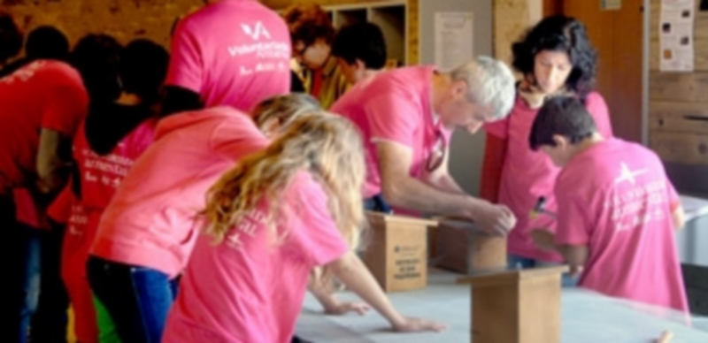 Los participantes en el voluntariado en Navafría durante la construcción de las casas nido. / El Adelantado