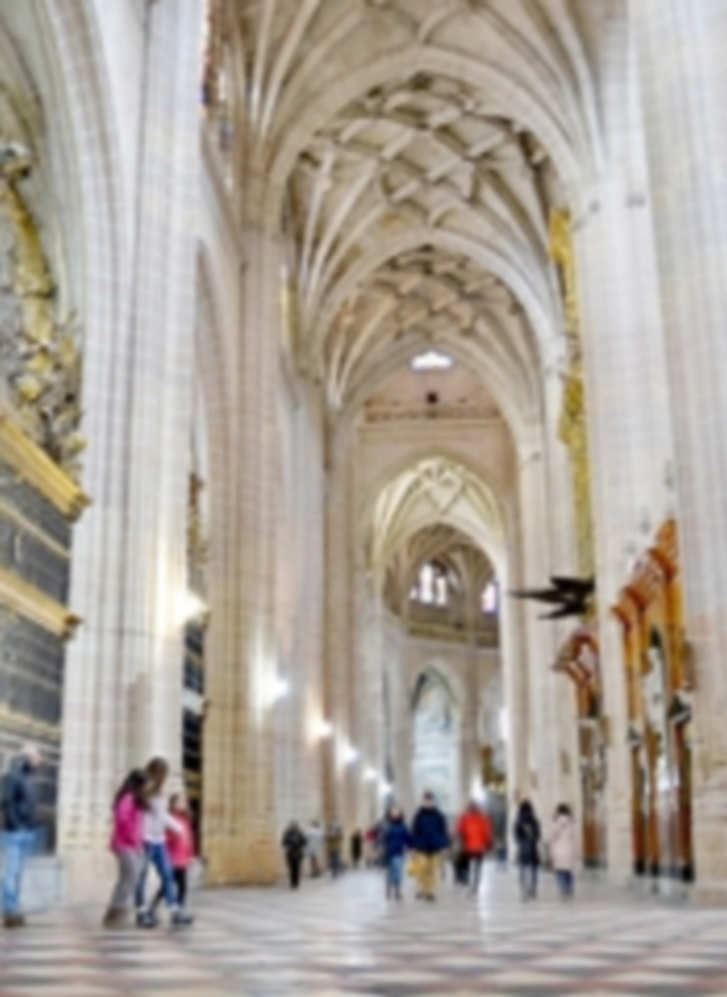 Turistas visitando la Catedral de Segovia. / El Adelantado