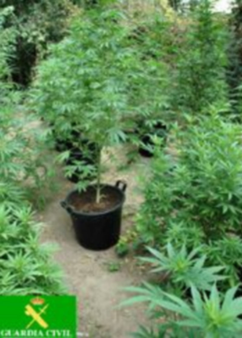 La operación se ha llevado a cabo en Bernuy de Porreros. / El Adelantado