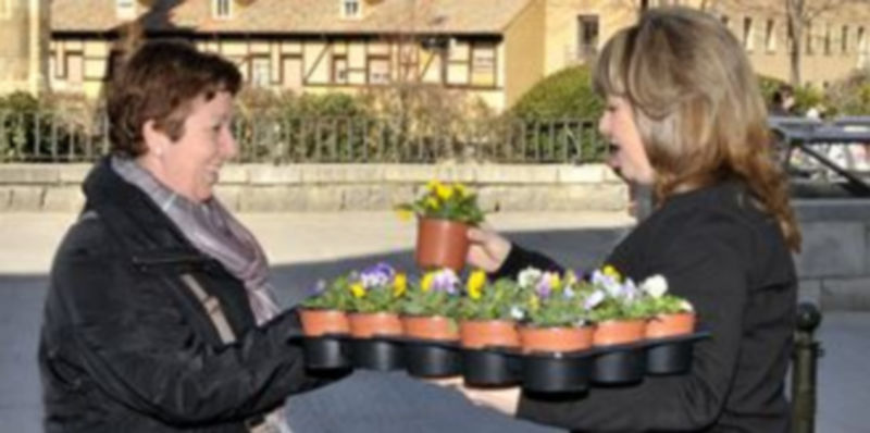 Un momento del reparto de flores que desarrolló ayer CCOO en la avenida Fernández Ladreda. / Alberto Benavente
