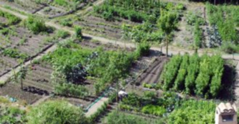 Las expropiaciones de las huertas del Clamores se ejecutaron cuando era alcalde de Segovia Ramón Escobar. / Kamarero.