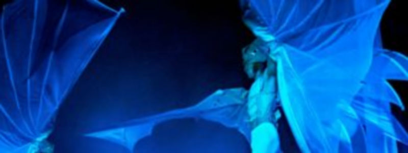 Imágenes del espectáculo que abrirá las Ferias y Fiestas