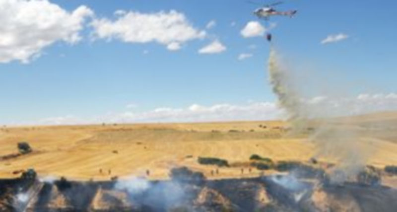 De los 68 incendios investigados el año pasado