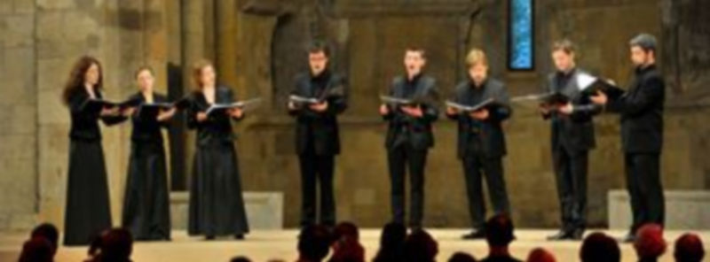 El ochote polaco Octava