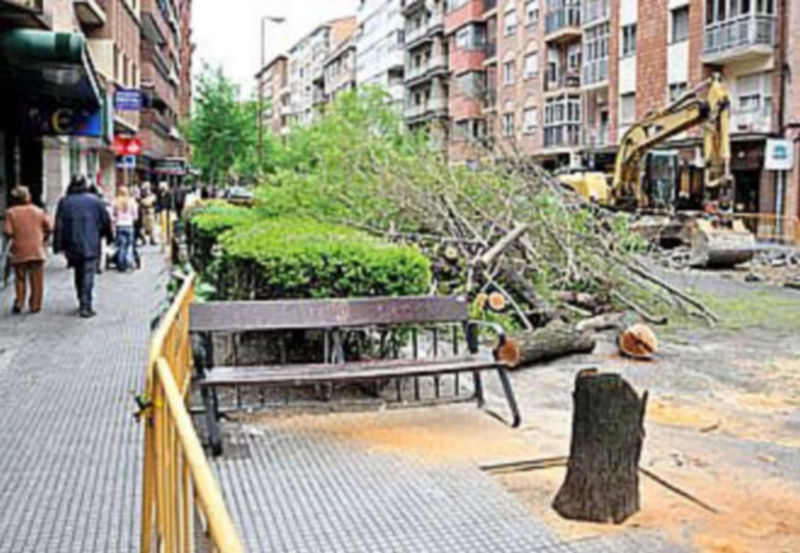 La tala de los árboles que estaban situados después de superar la plaza de José Zorrilla provocó la sorpresa de los peatones./KAMARERO
