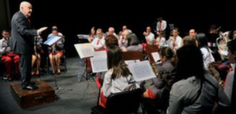 Concierto ofrecido por la Agrupación Musical de Sepúlveda ayer en el Teatro Juan Bravo./ Kamarero