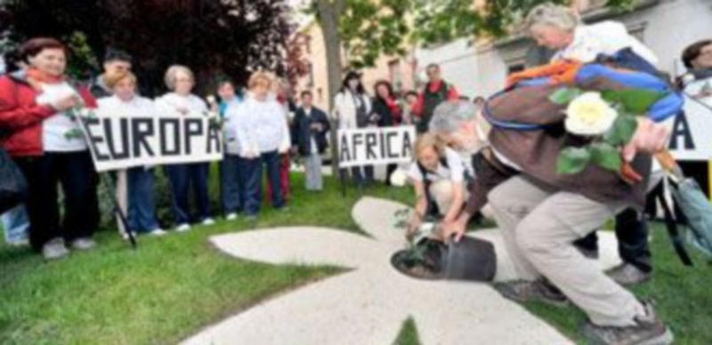 Los organizadores de la Marcha Universal para la Paz de Segovia procedieron a plantar el Rosal de la Paz en los jardines de la Plaza de la Merced