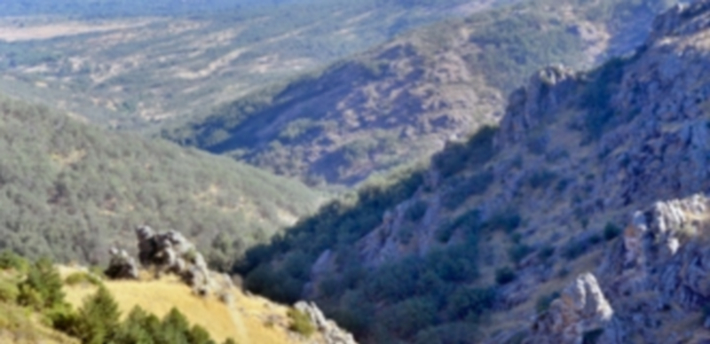 El Parque Nacional de la Sierra de Guadarrama ocupa un total de 33.960 hectáreas de Madrid y Castilla y León. / Kamarero