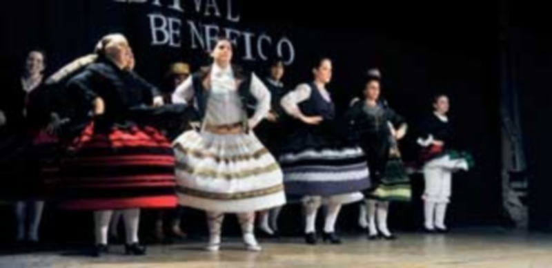 El salón de actos del IES Andrés Laguna se abarrotó en el V Festival Benéfico de ACFAL a favor de Parkinson Segovia. / Kamarero