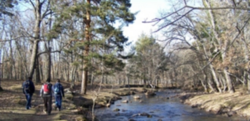 El paseo ayudará a comprender la importancia del agua y su utilización a lo largo de la historia/ El Adelantado