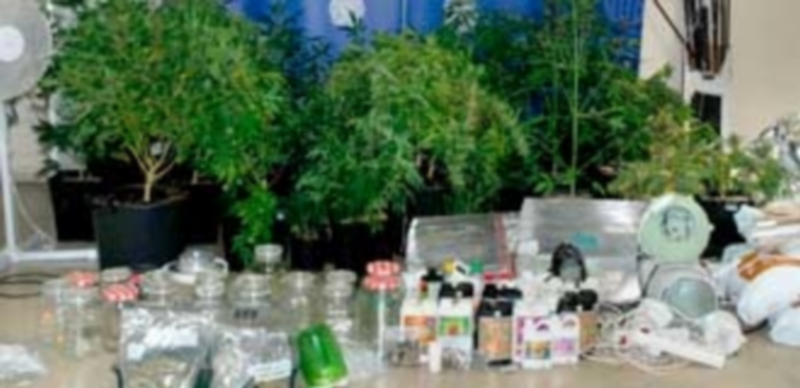 Los agentes encontraron en el sótano un invernadero preparado para el cultivo