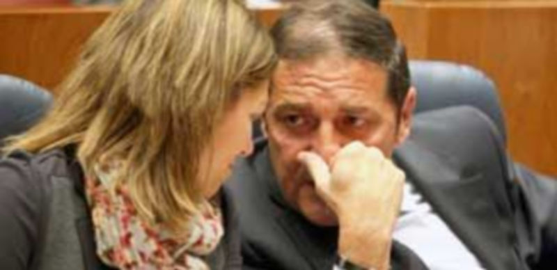 El consejero de Sanidad