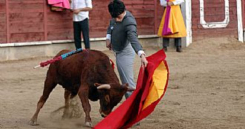 Uno de los becerristas