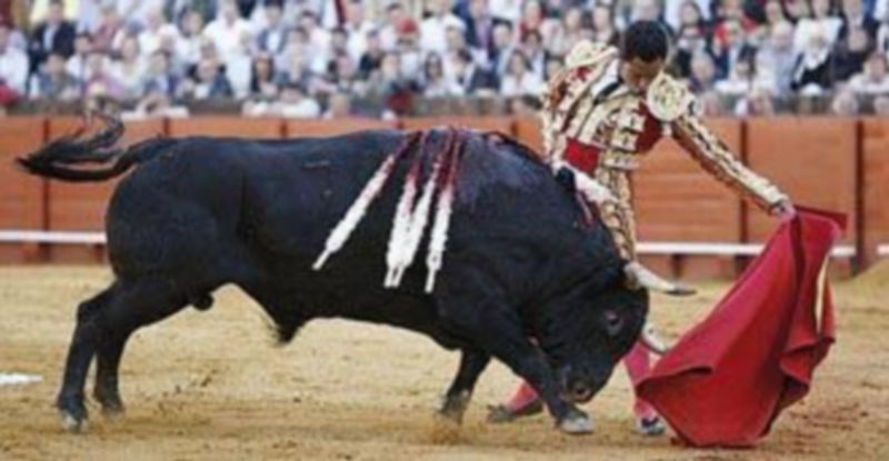 Luis Bolivar. / El Adelantado