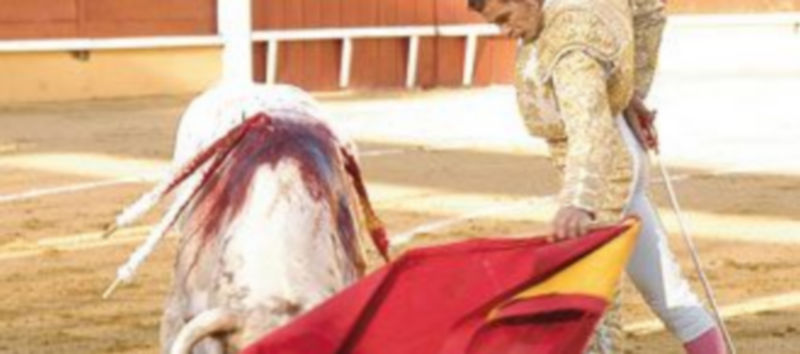 Rubén Marín cuajó dos buenas faenas que le valieron la salida en hombros. / Leandro Valdez