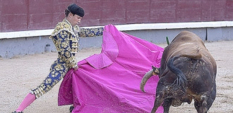 Pablo Atienza mostró un toreo de calidad en Las Ventas. / JULIÁN LÓPEZ (MUNDOTORO.COM)