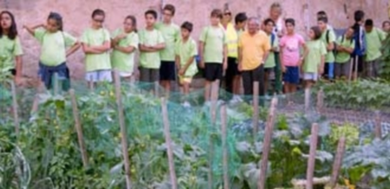 La riqueza natural 1 Los pequeños participantes en los campamentos de verano