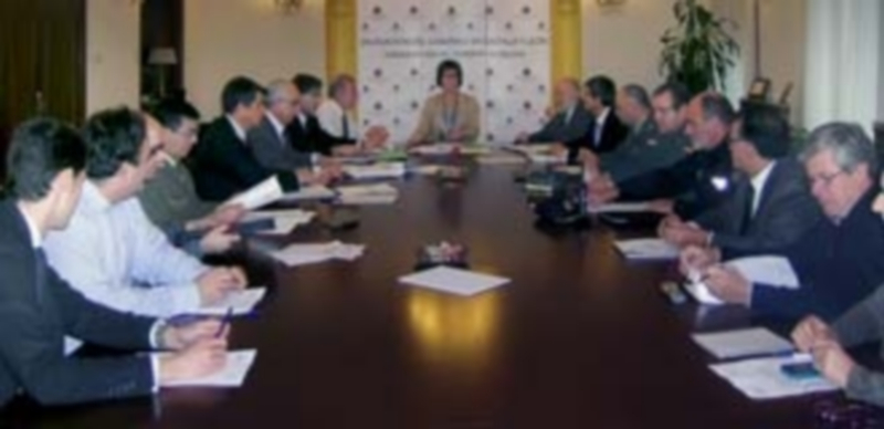 Un momento del encuentro del comité ejecutivo