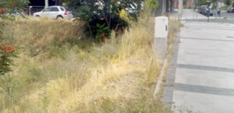 Uno de los solares de la ciudad que presenta alto riesgo de incendio por su mal mantenimiento. / El Adelantado