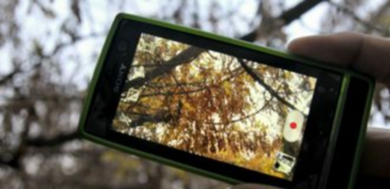 Los ‘minutos Lumiére’ pueden presentarse hasta el próximo lunes y se proyectarán el martes por la tarde. / Alberto Benavente